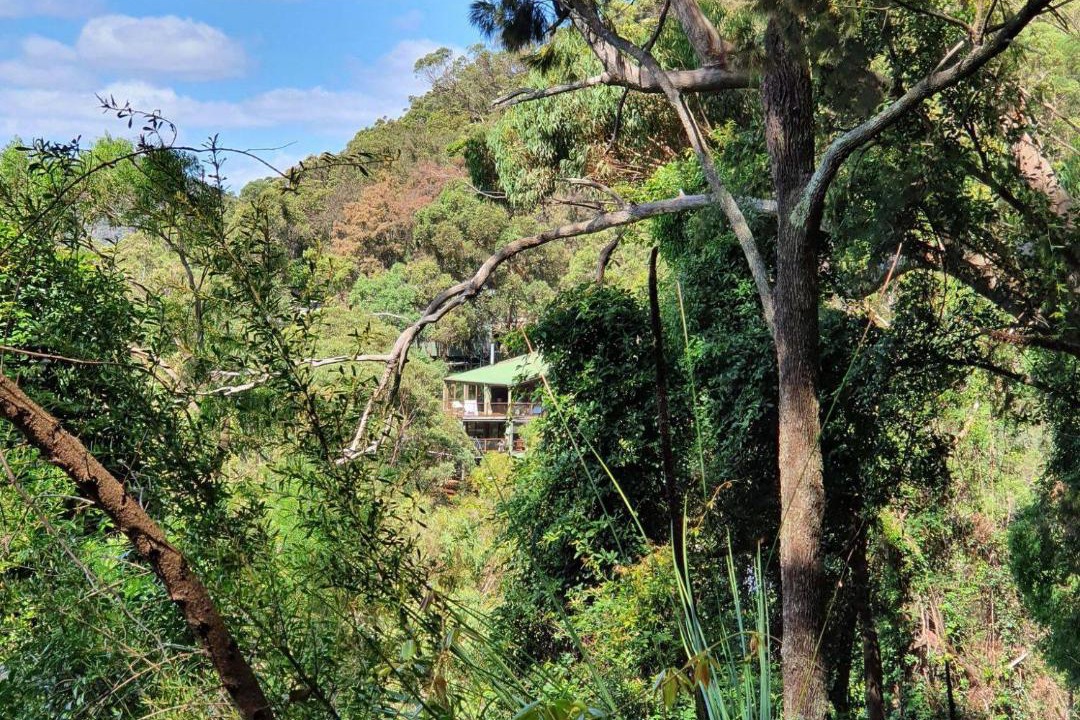 Photo of Others in Bar Point