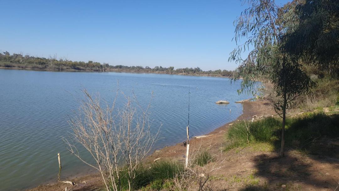 Photo of Others in Winkie