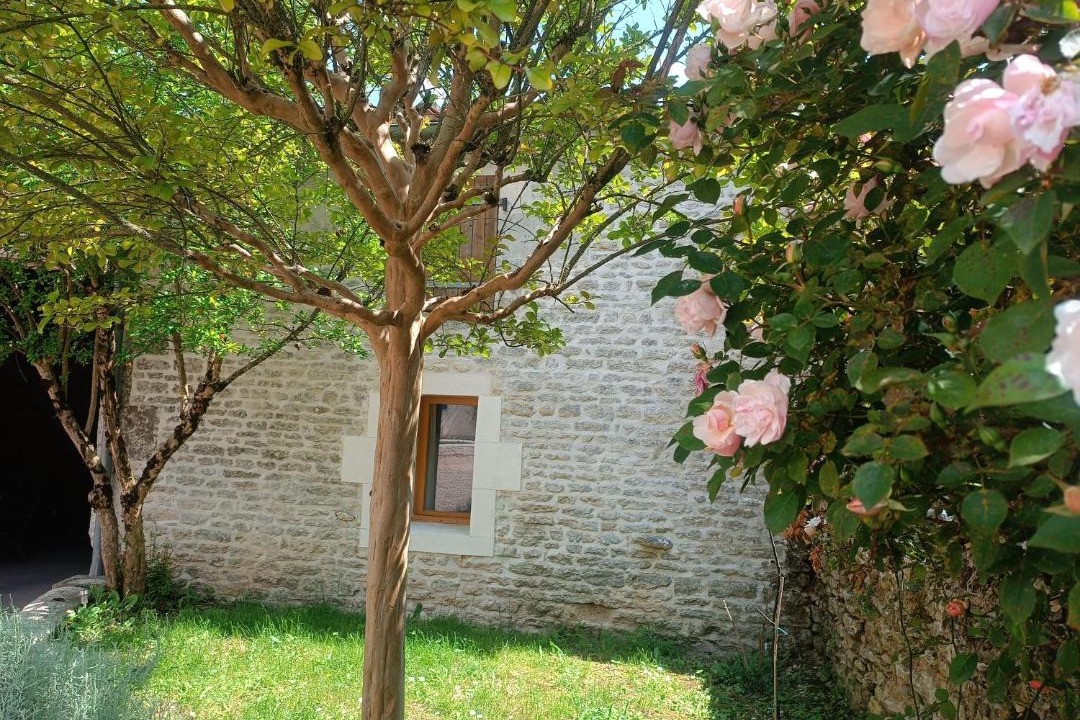 Photo of Others in Asnieres-sur-Nouere