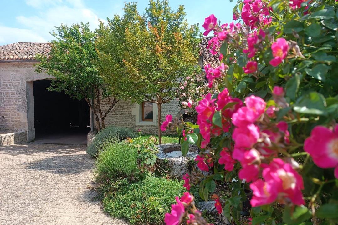 Photo of Others in Asnieres-sur-Nouere