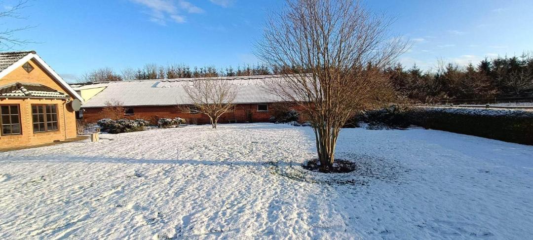 Photo of Others in Herning