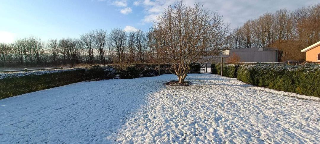 Photo of Others in Herning