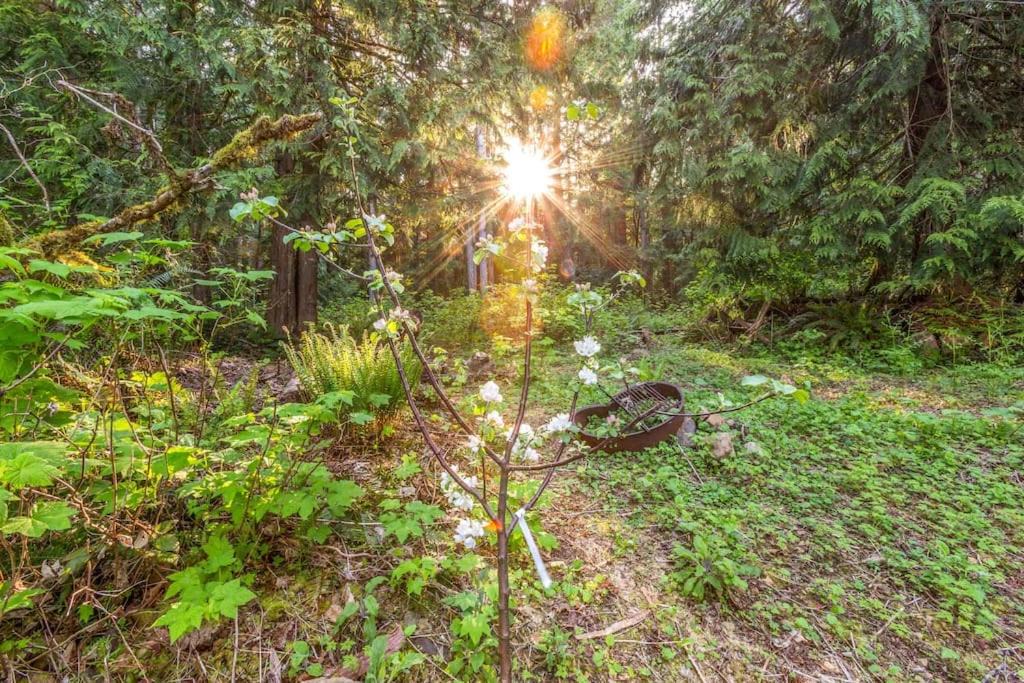 Photo of Others in Brinnon