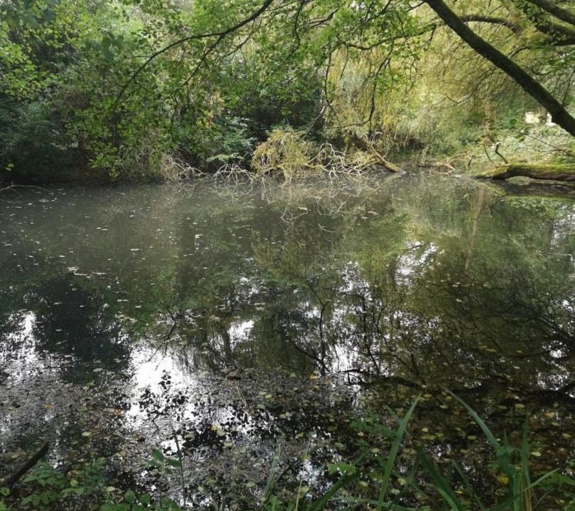 Photo of Others in Saint-Ouen-des-Besaces
