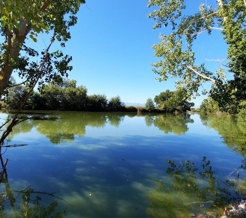 Photo of Others in Mazeres