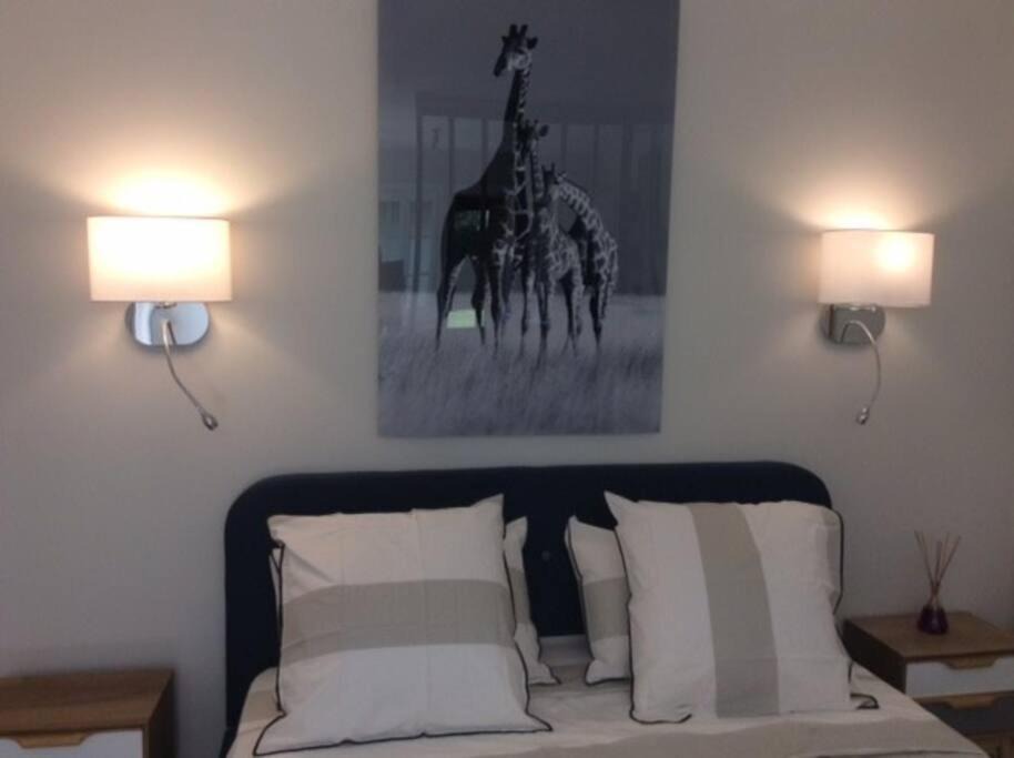 Photo of Bedroom in Villeneuve-les-Avignon