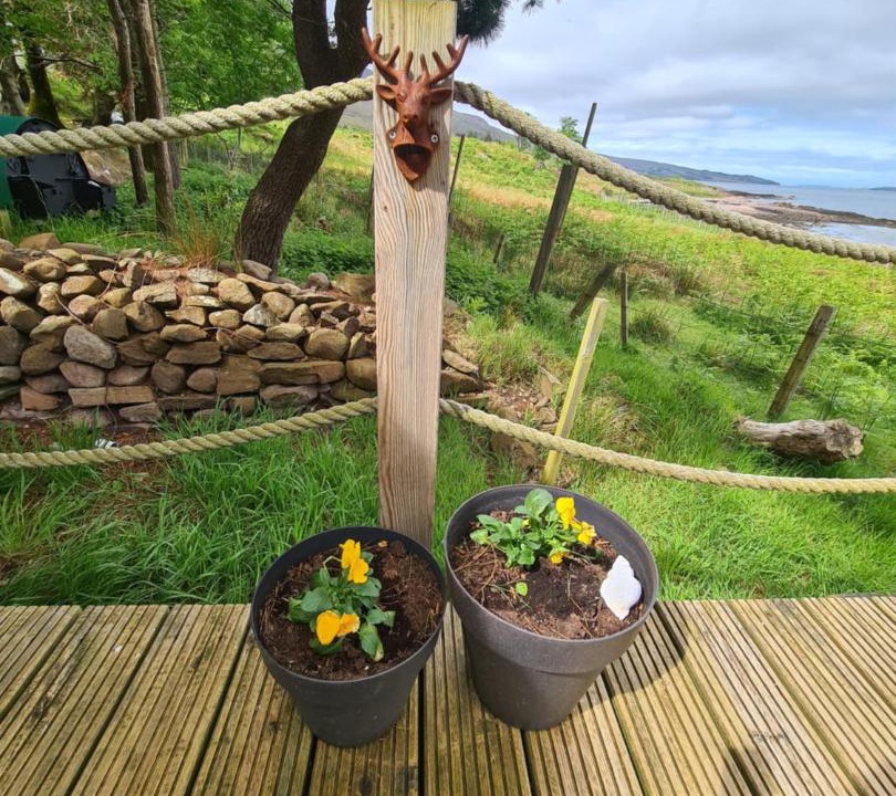 Photo of Others in Garve