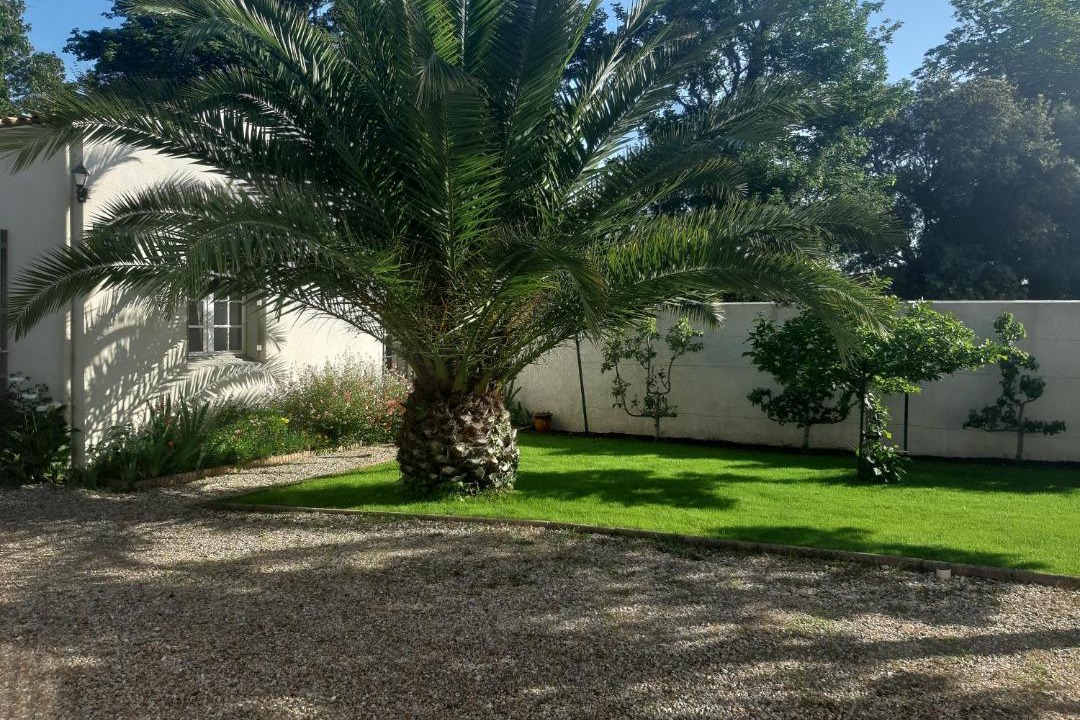 Photo of Others in Dolus-d'Oleron