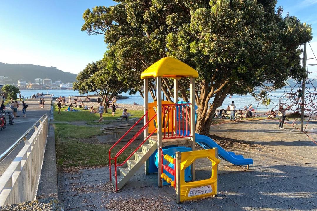 Photo of Others in Oriental Bay