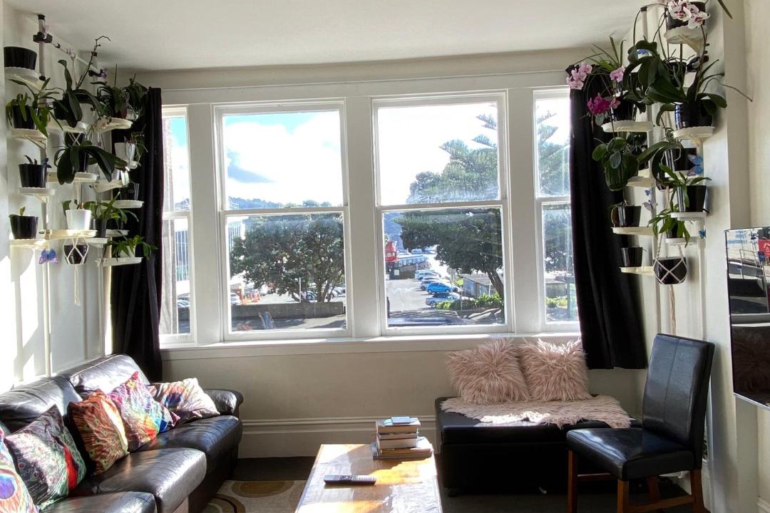 Photo of Others in Oriental Bay