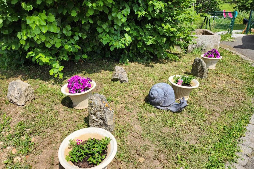 Photo of Outdoor in Nalliers