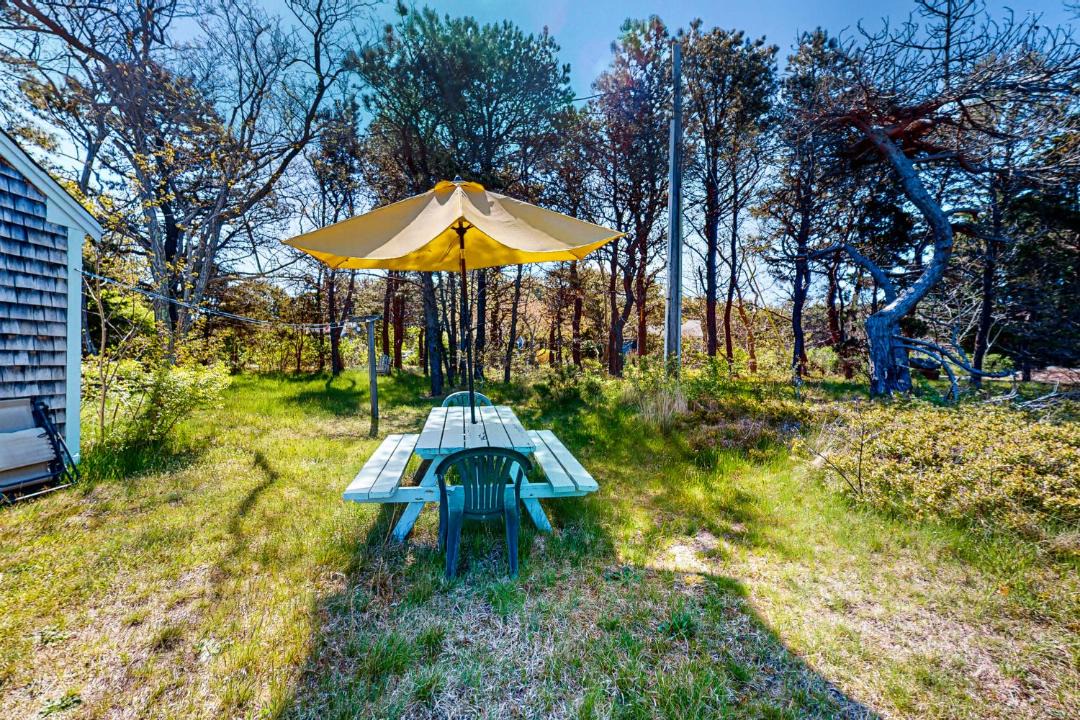 Photo of Others in North Truro