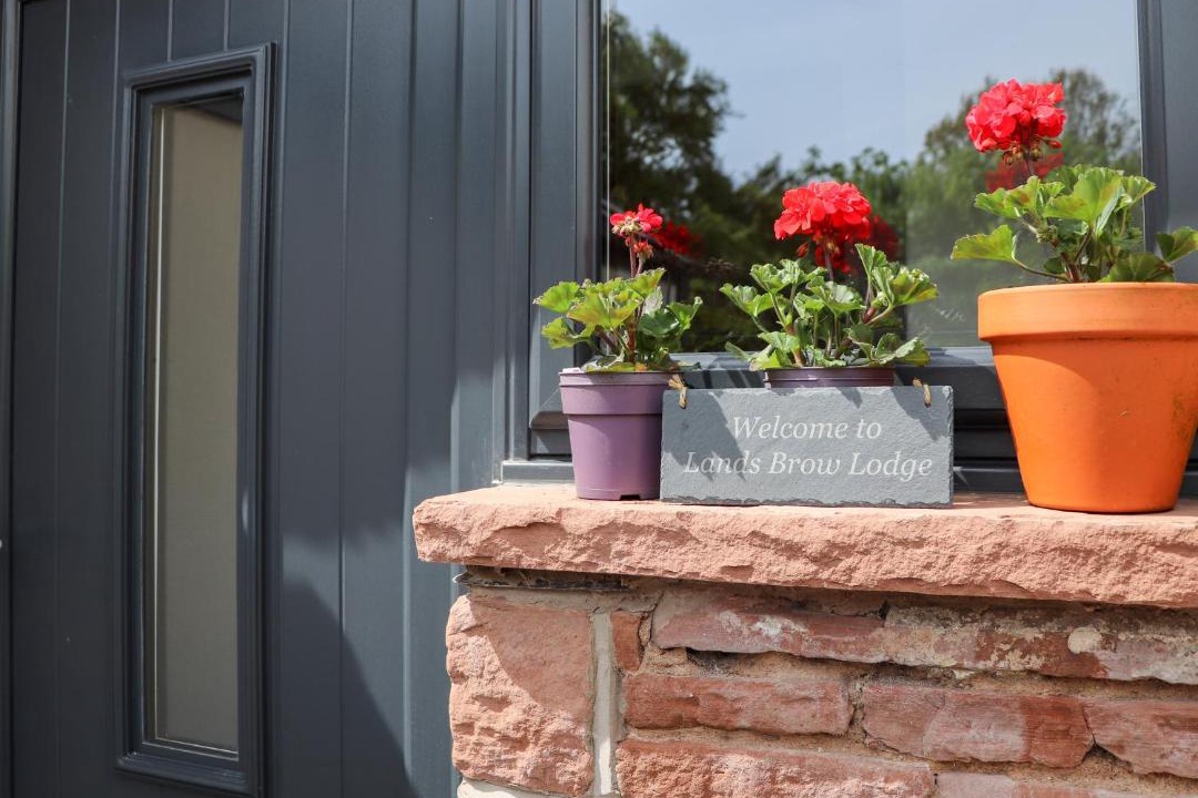 Photo of Others in Westward