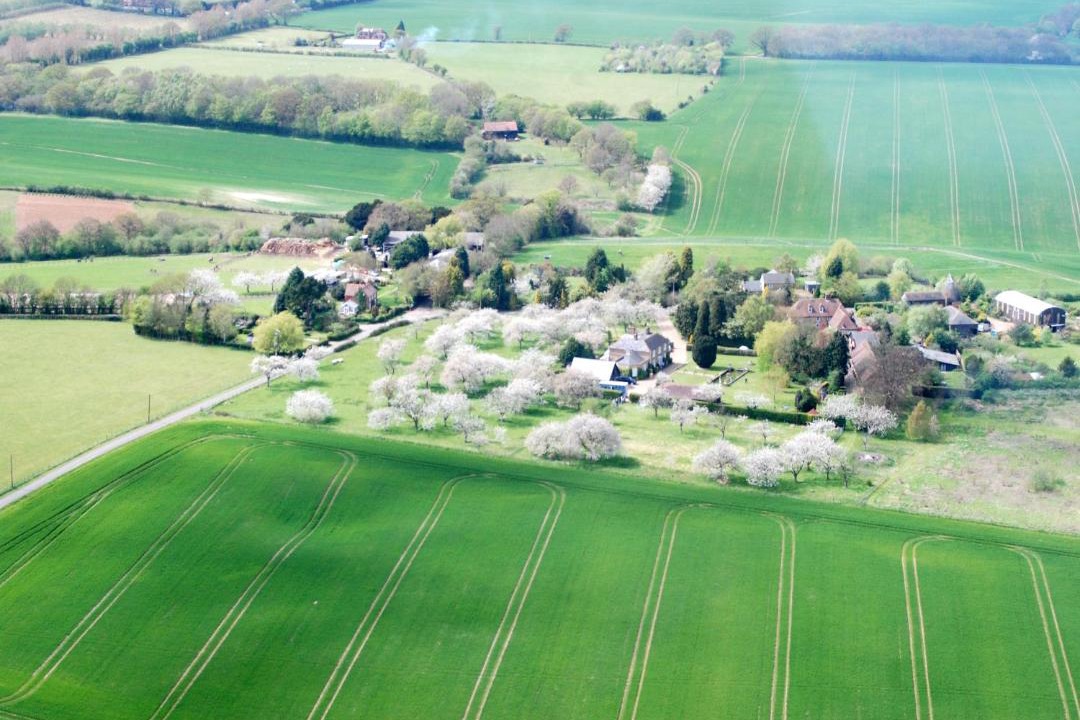 Photo of Others in Faversham