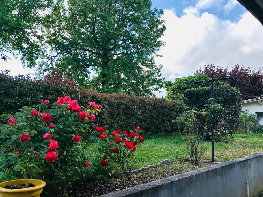 Photo of Others in Guitres