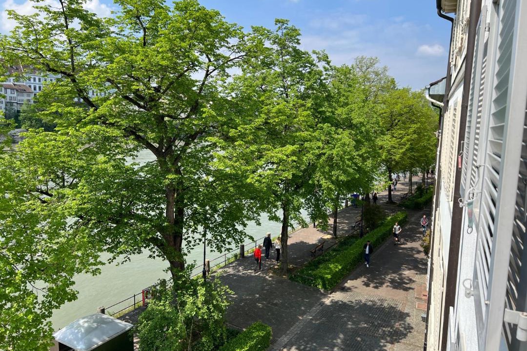 Photo of Others in Basel City Centre