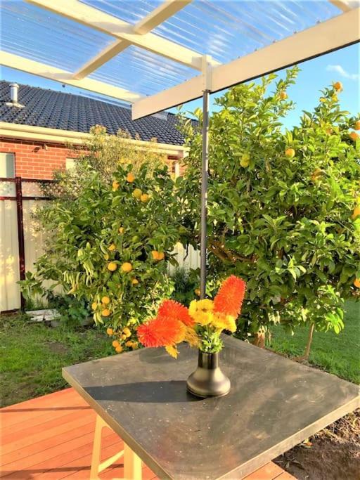 Photo of Others in Springvale