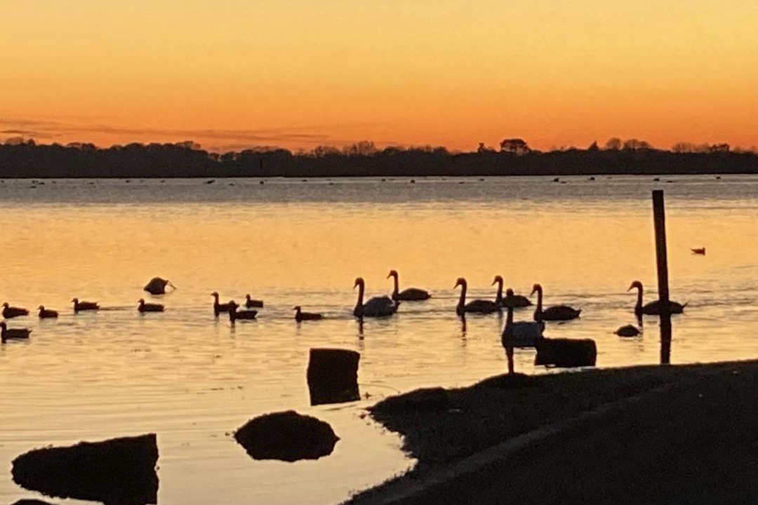 Photo of Outdoor in Bosham