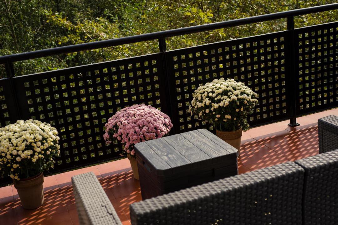 Photo of Patio Balcony in Isuskitza