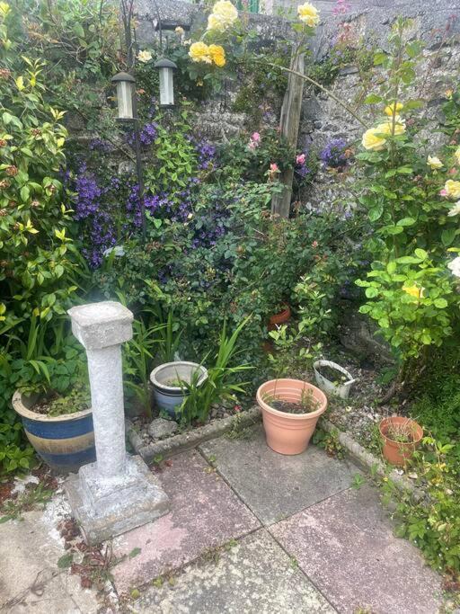 Photo of Others in Ivybridge