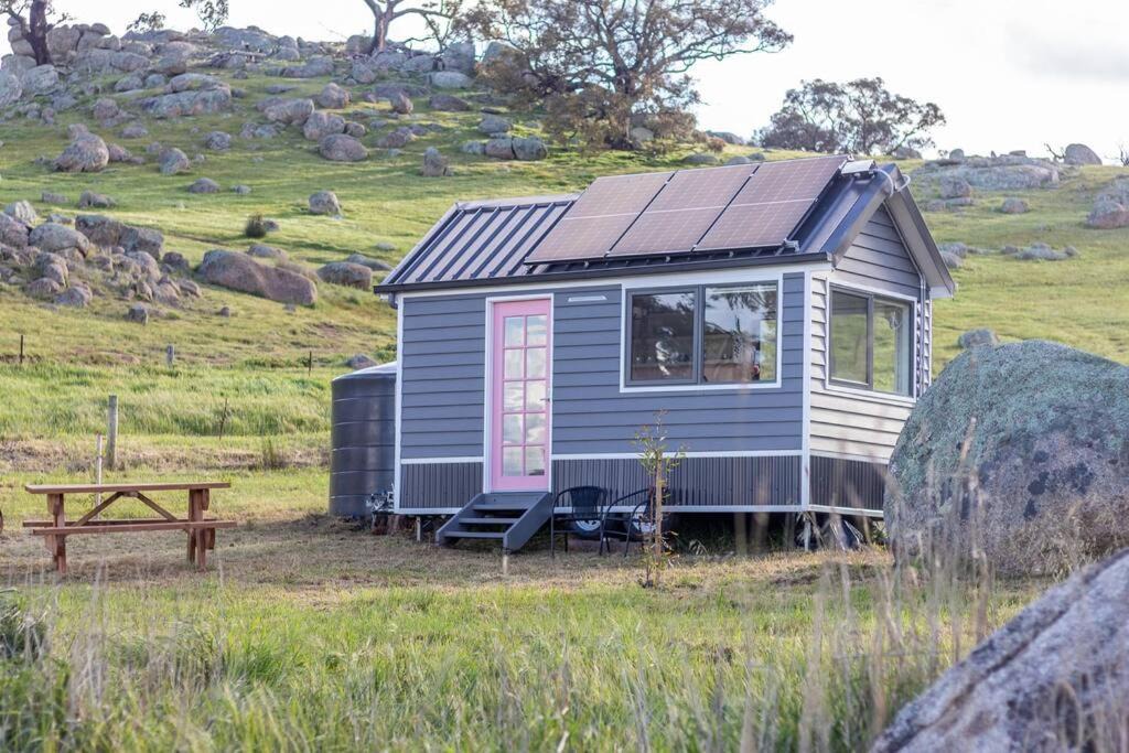 Photo of Buildings in Tooborac