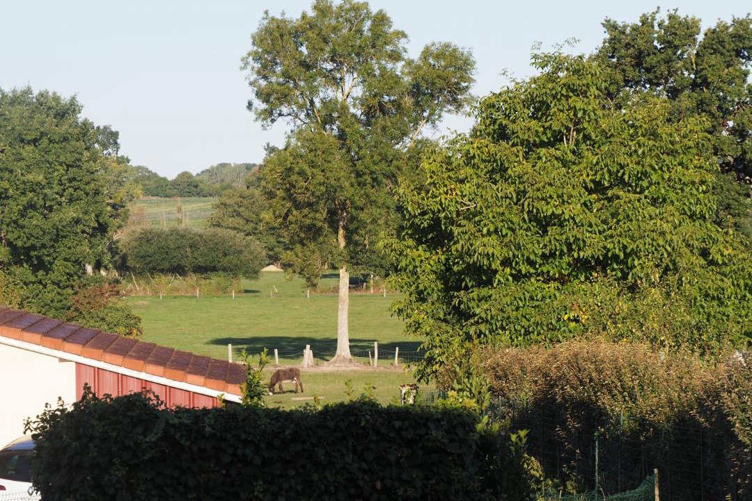 Photo of Others in Bacilly