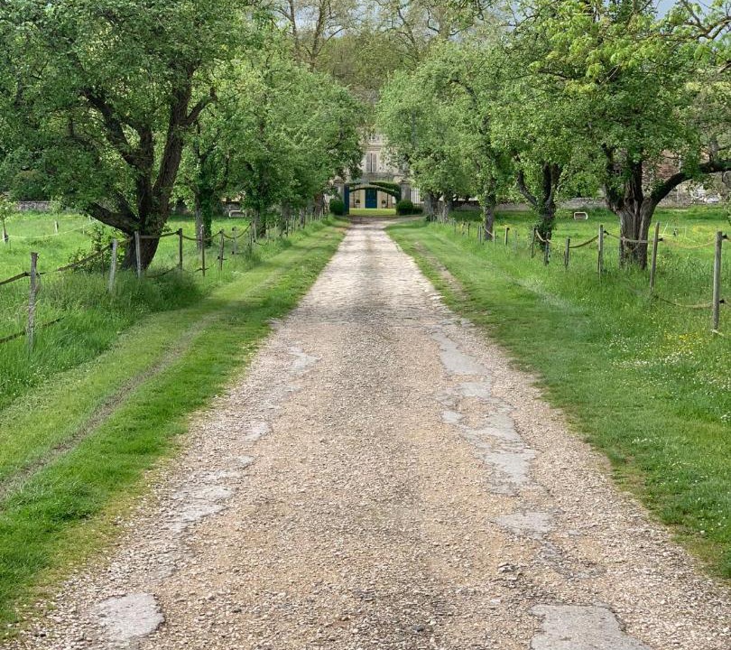 Photo of Others in Flagy