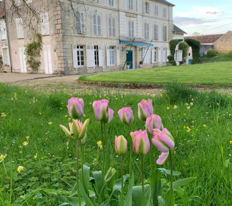 Photo of Others in Flagy