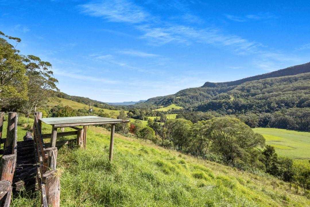 Photo of Others in Wattamolla