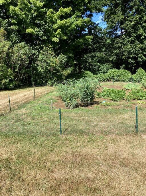 Photo of Others in Shelburne Falls