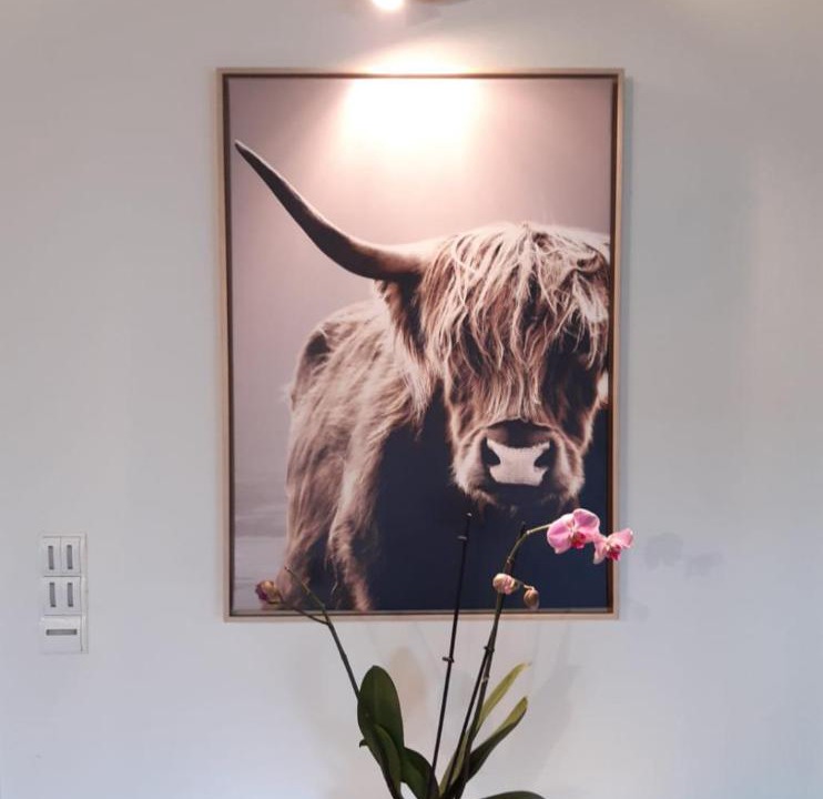 Photo of Others in Charolles