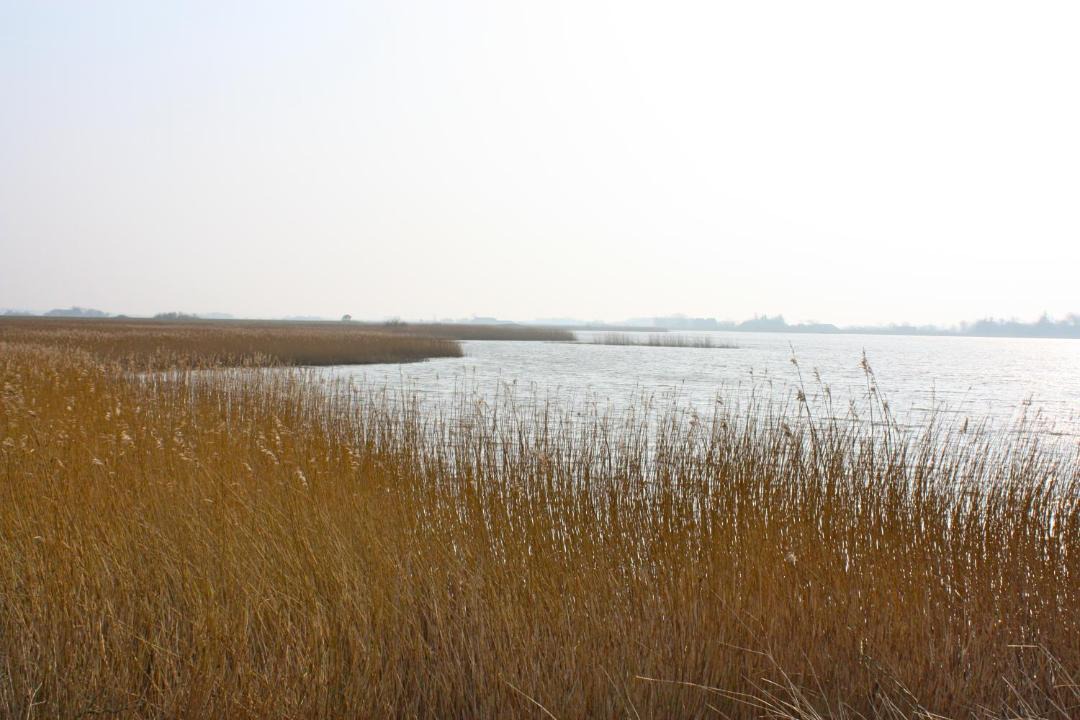 Photo of Others in Rudbøl