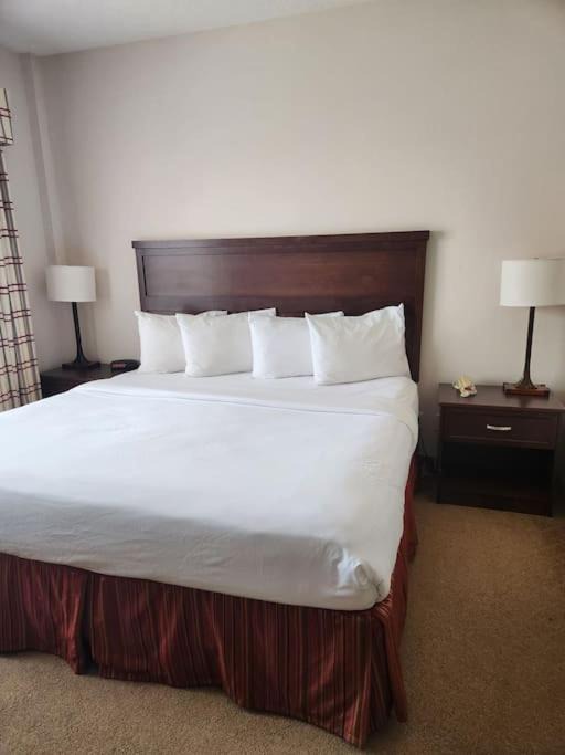 Photo of Others in Calgary