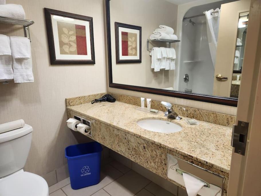 Photo of Others in Calgary