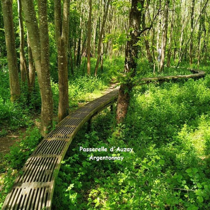 Photo of Others in Argentonnay