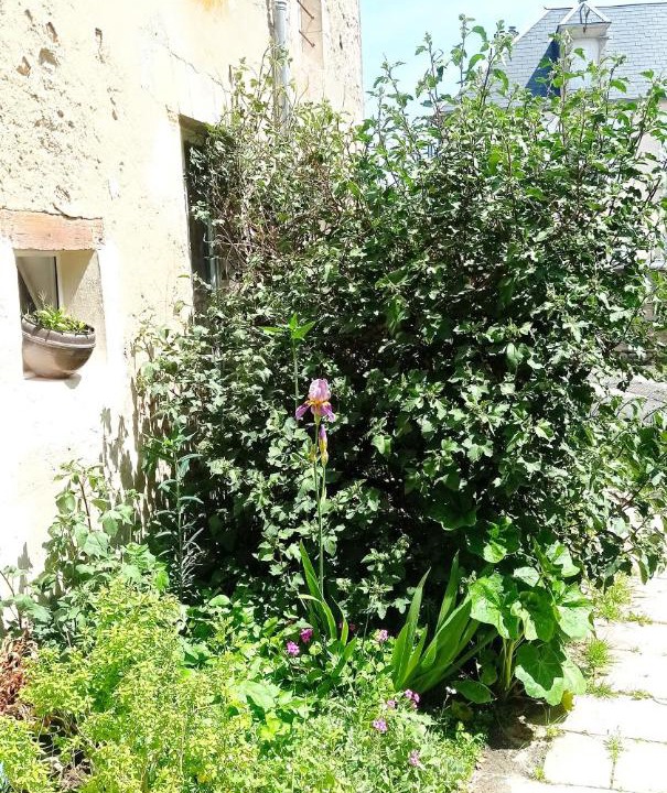 Photo of Outdoor in Vaucelles