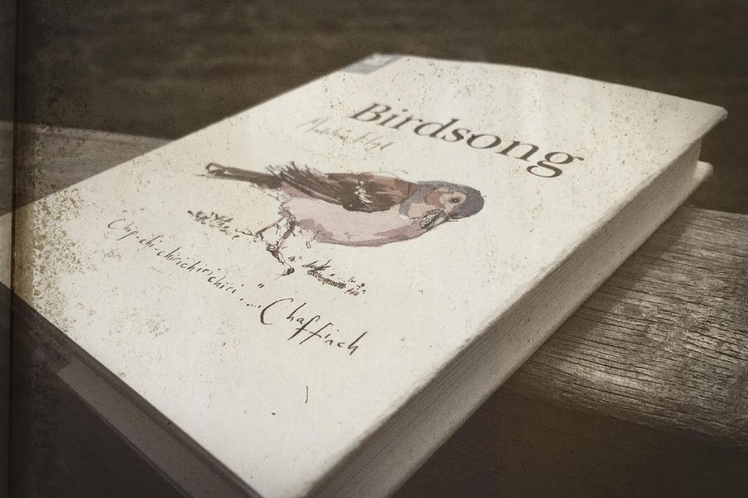 Photo of Others in North Moreton