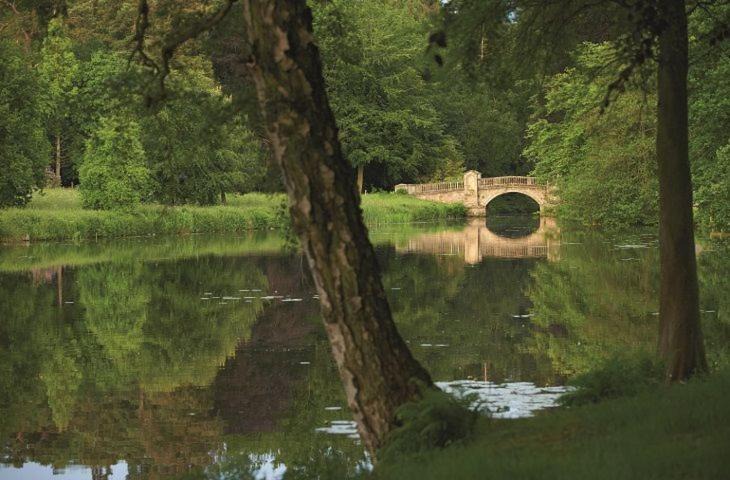 Photo of Others in Weston Under Lizard