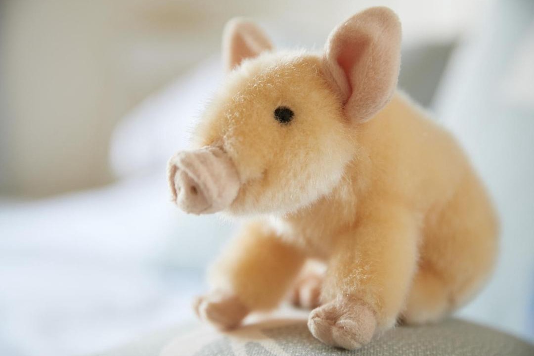 Photo of Others in North Perrott