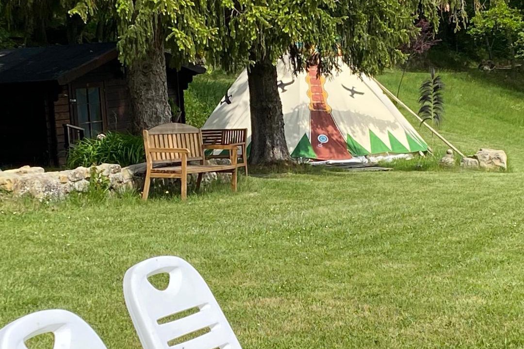 Photo of Others in Comps