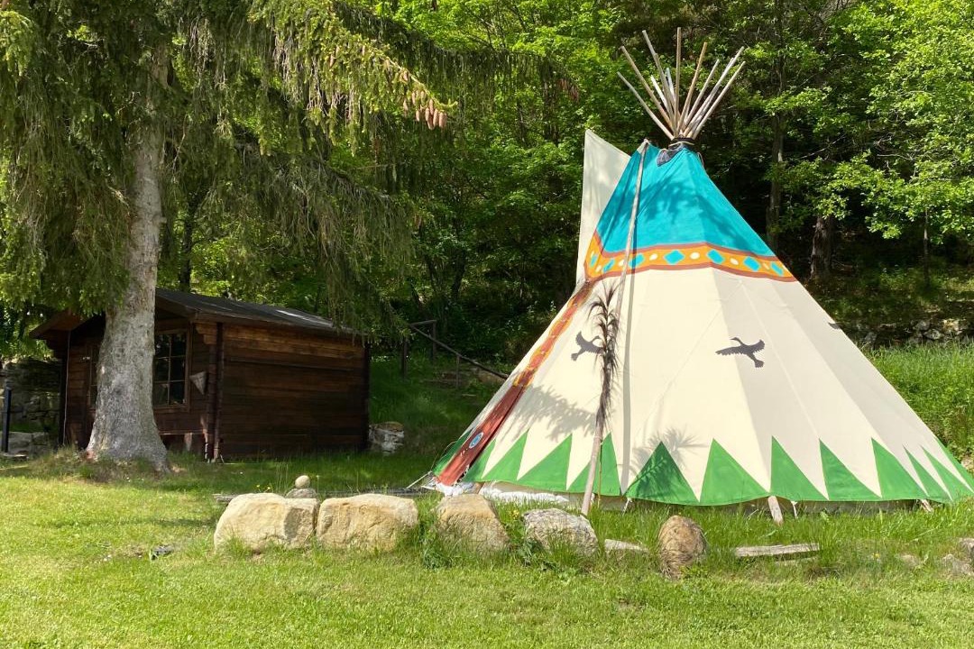 Photo of Others in Comps