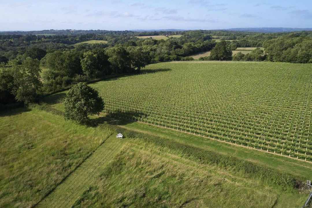 Photo of Others in Cranbrook