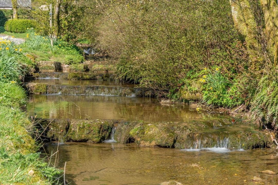 Photo of Others in Orton