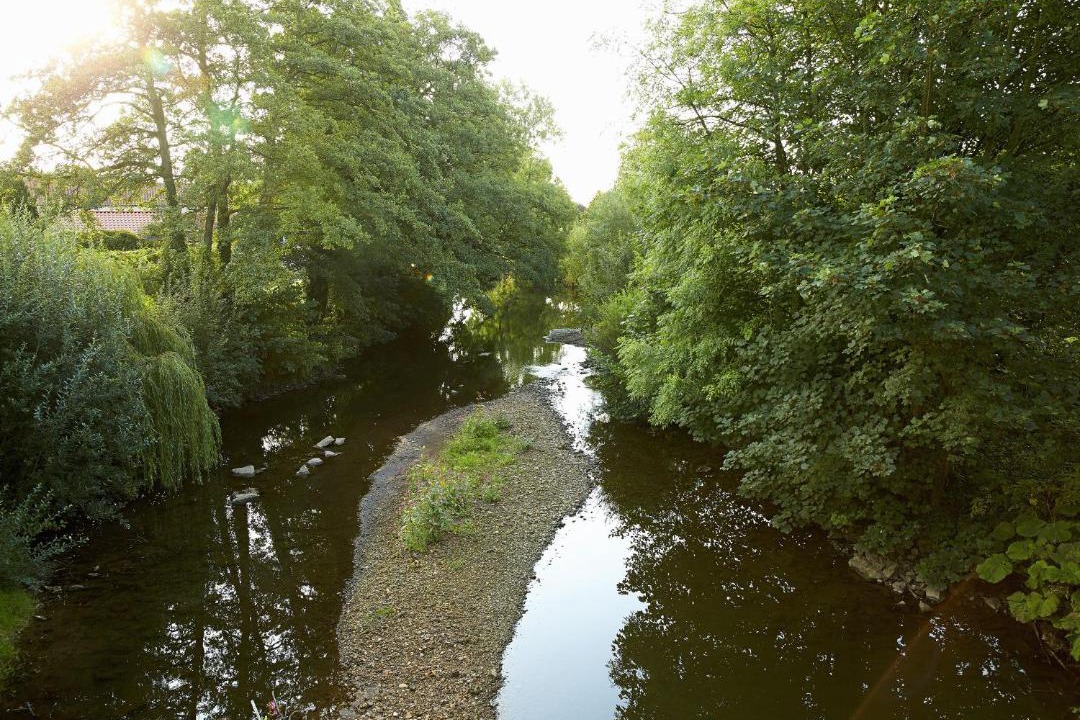 Photo of Others in Ampleforth