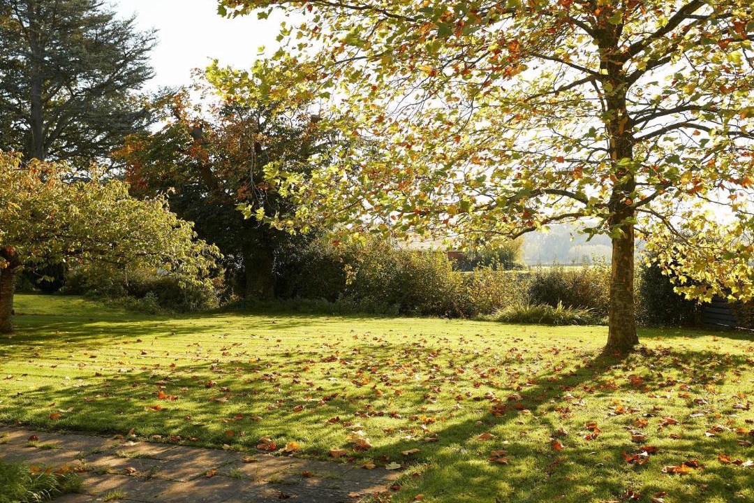 Photo of Outdoor in Eardisley