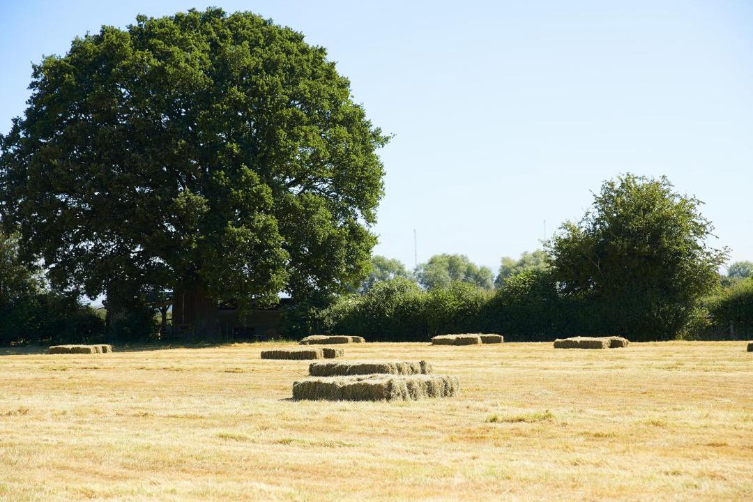 Photo of Others in Orleton