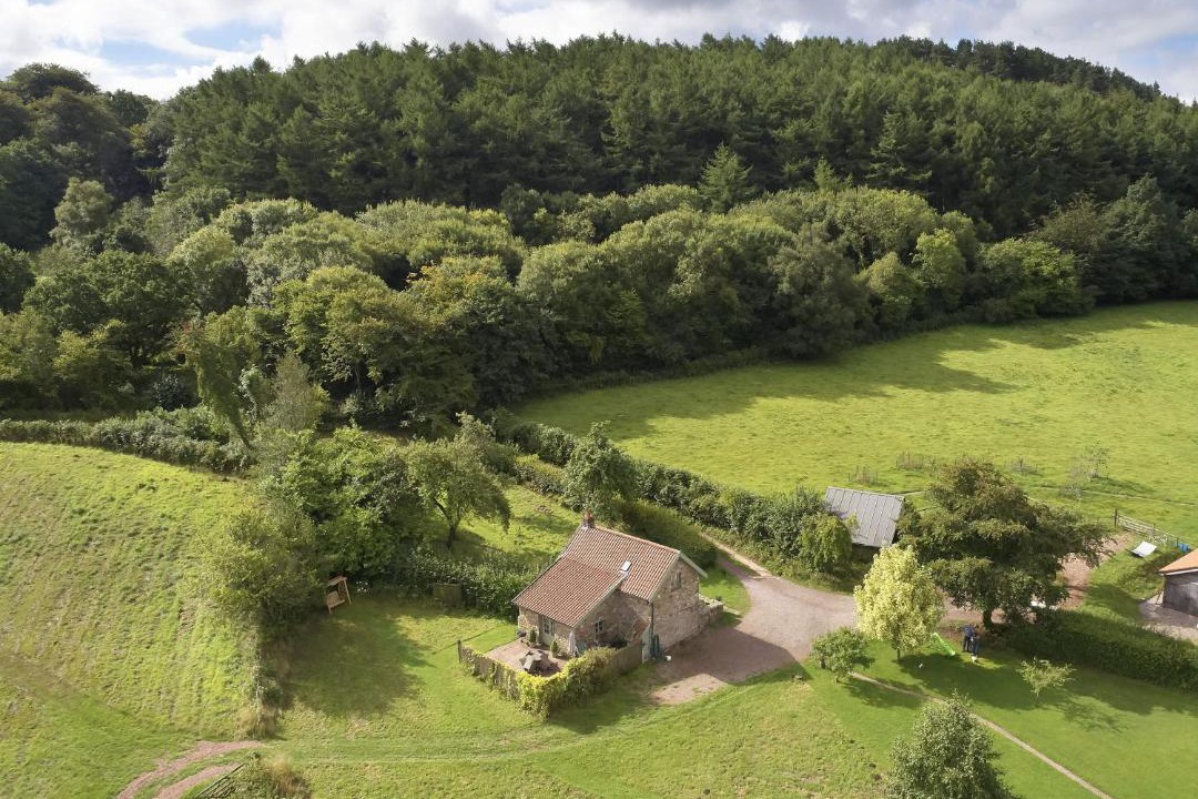 Photo of Others in Tintern