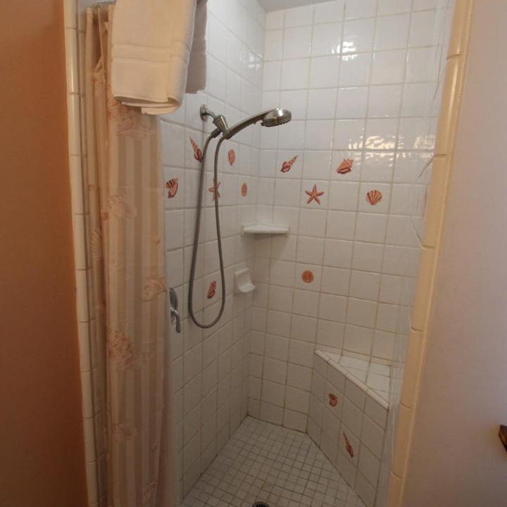 Photo of Others in Westside Santa Cruz