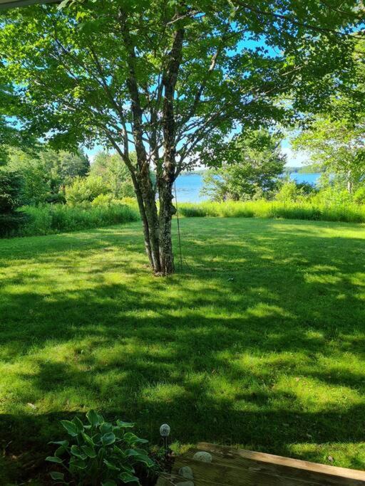 Photo of Others in Lunenburg County