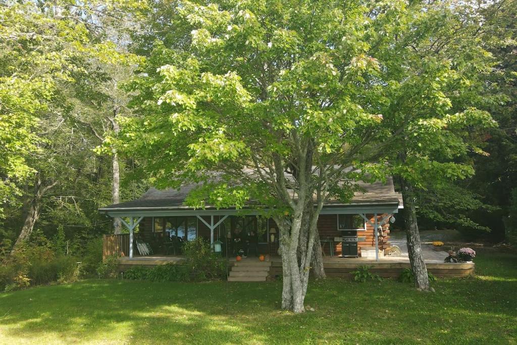 Photo of Others in Lunenburg County